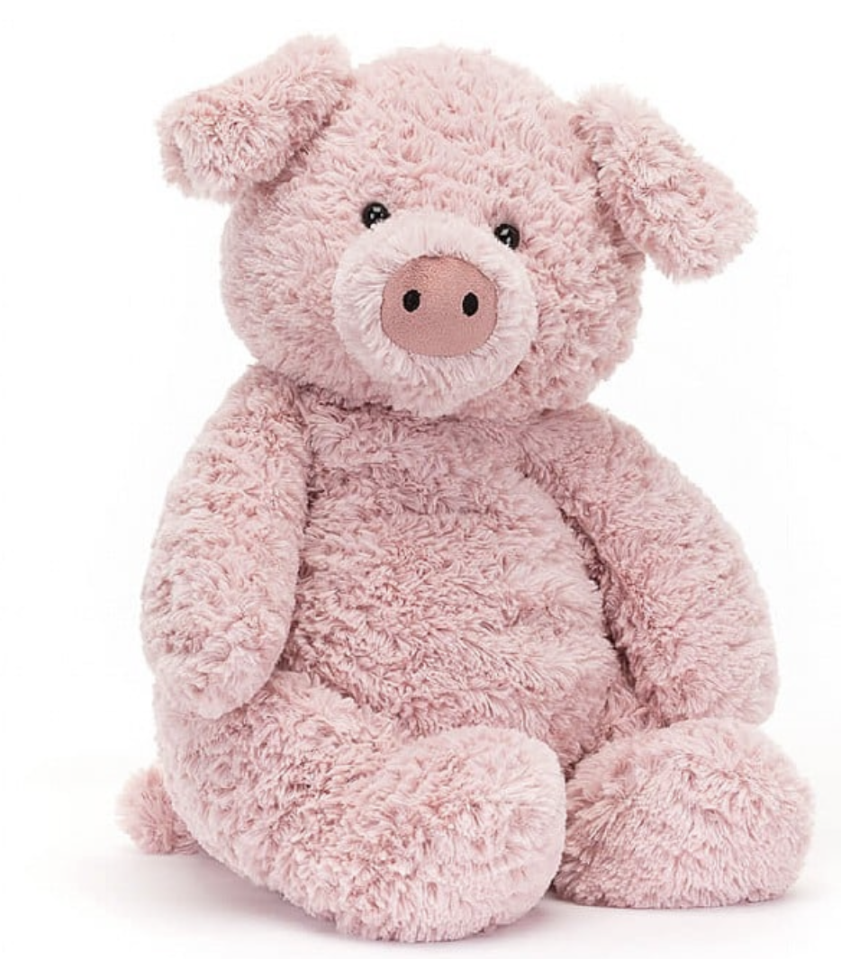 Medium Bashful Pig | Barnabus