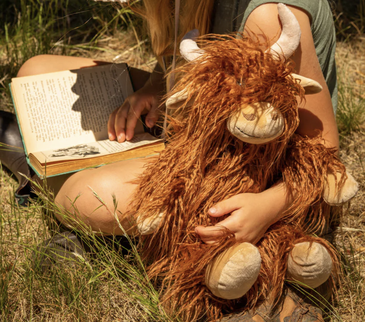 Henry the Highland Cow | Brown