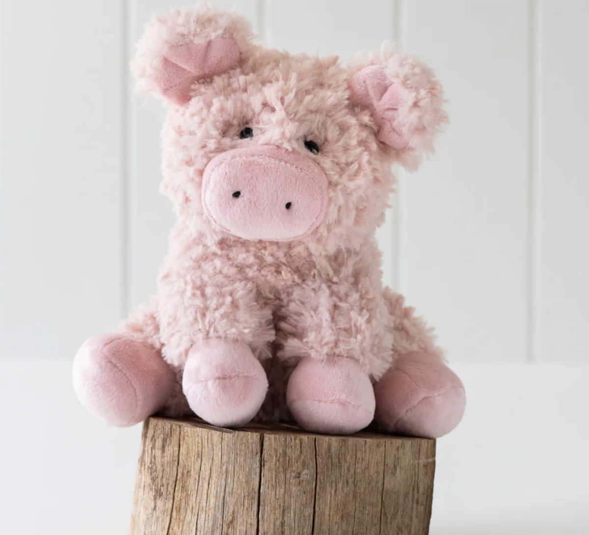 Poppy Pig