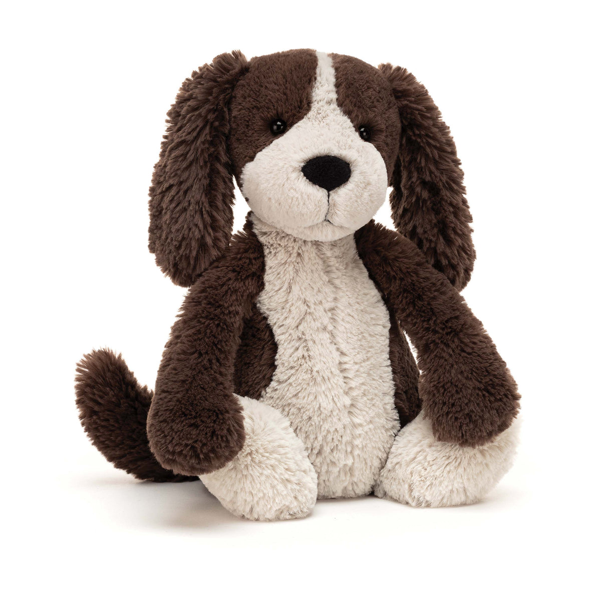 Medium Bashful Puppy | Fudge