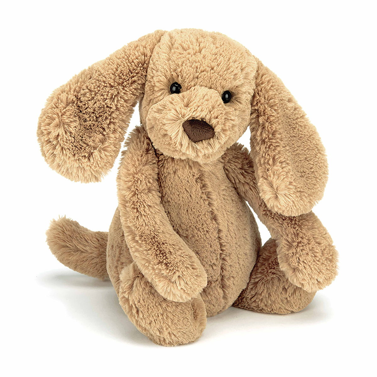 Medium Bashful Puppy | Toffee