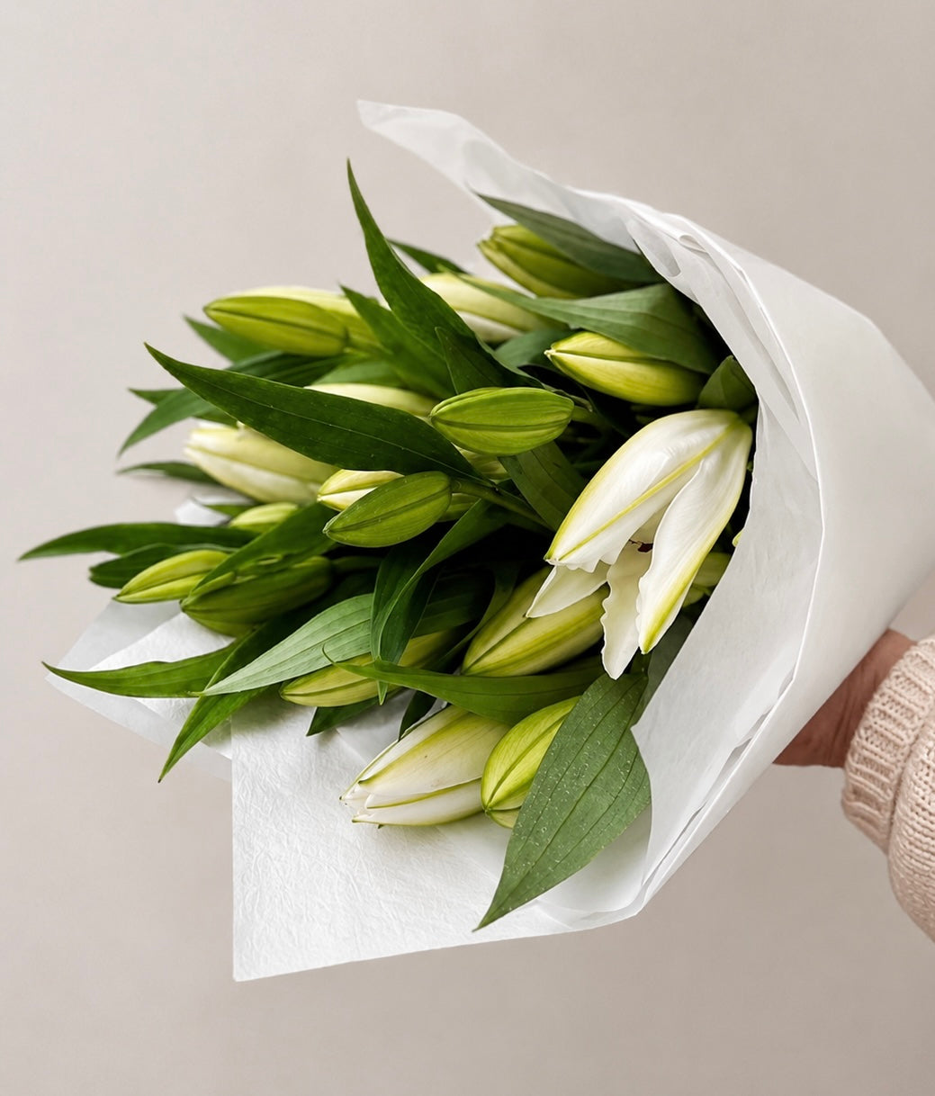 LILY