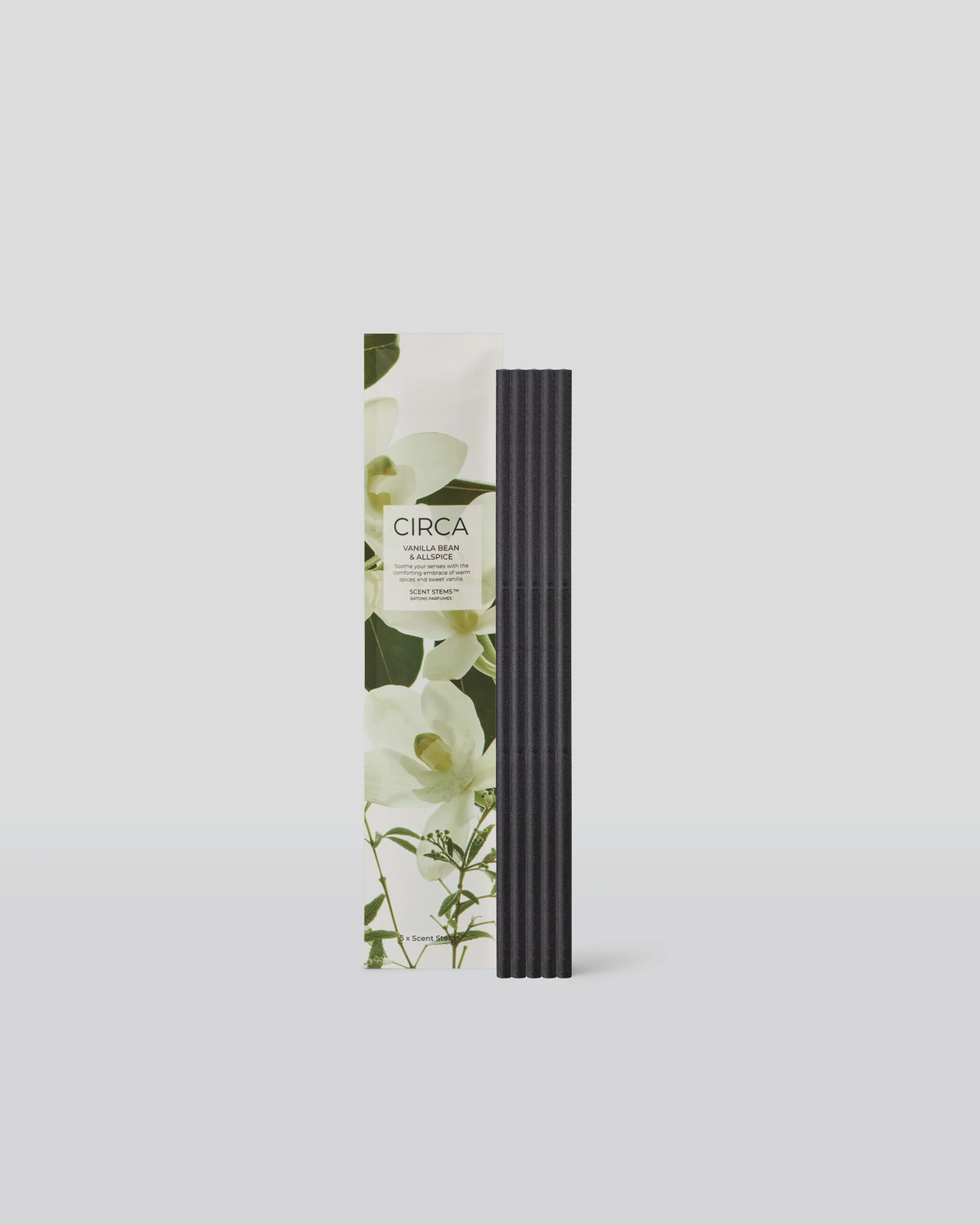 5 Replacement Scent Stems | Vanilla Bean & Allspice