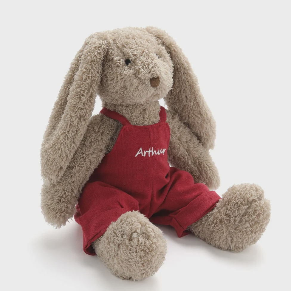 Mr Honey Bunny | Red