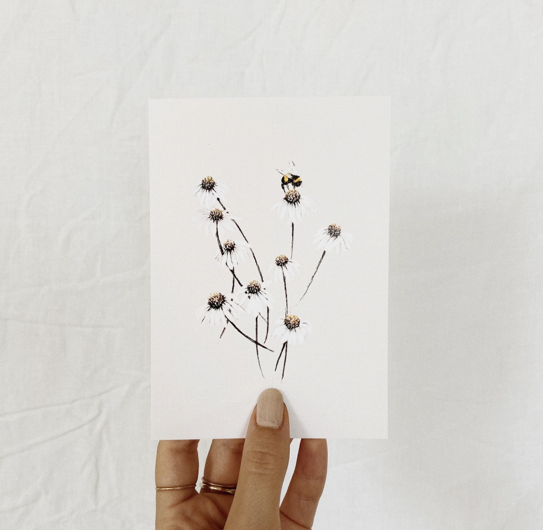 Greeting Card | Daisies