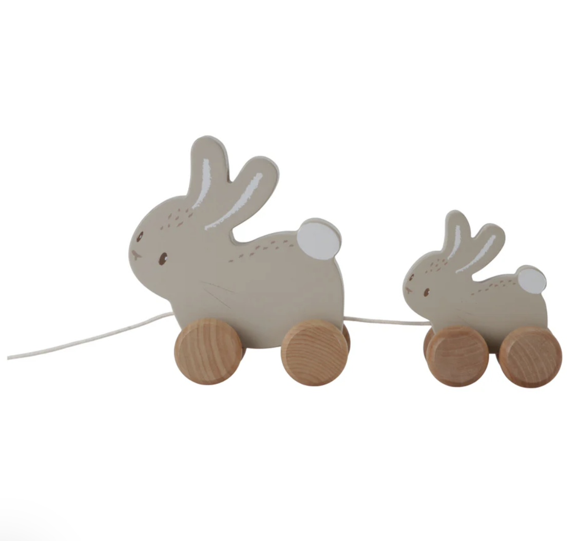 Pull Along Bunnies | Baby Bunny