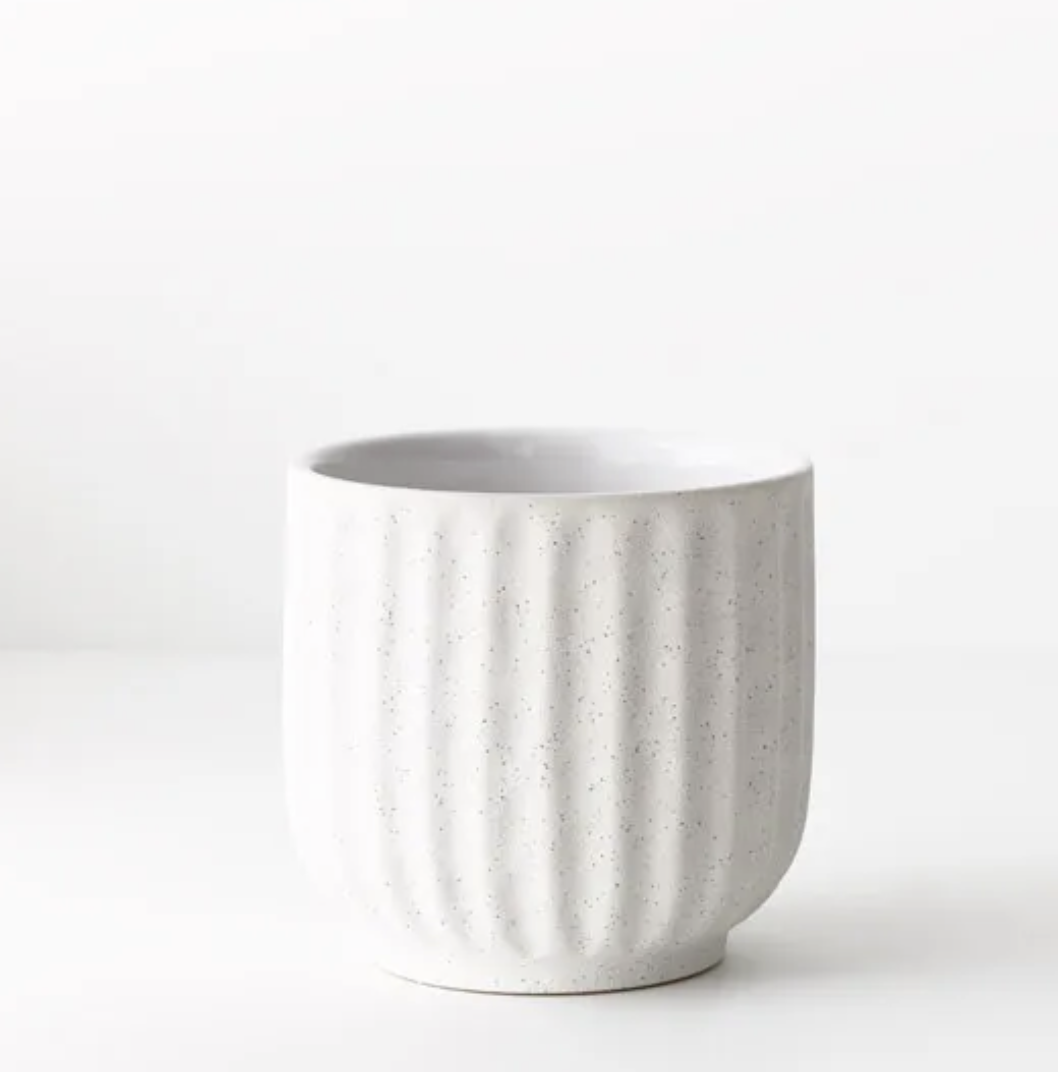 Pot Pilu | White | Small