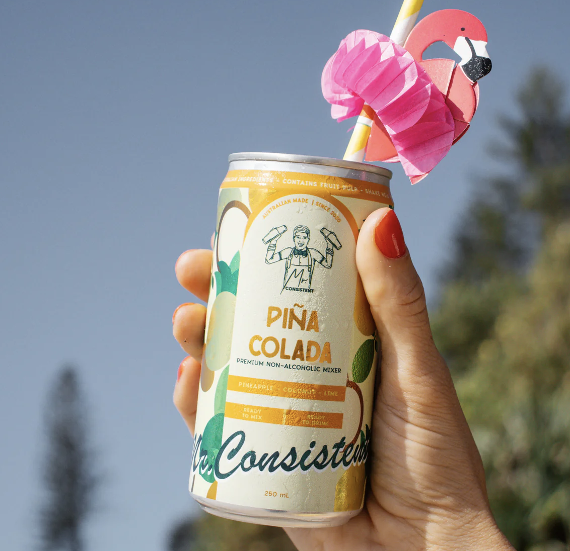 250mL Can | Pina Colada