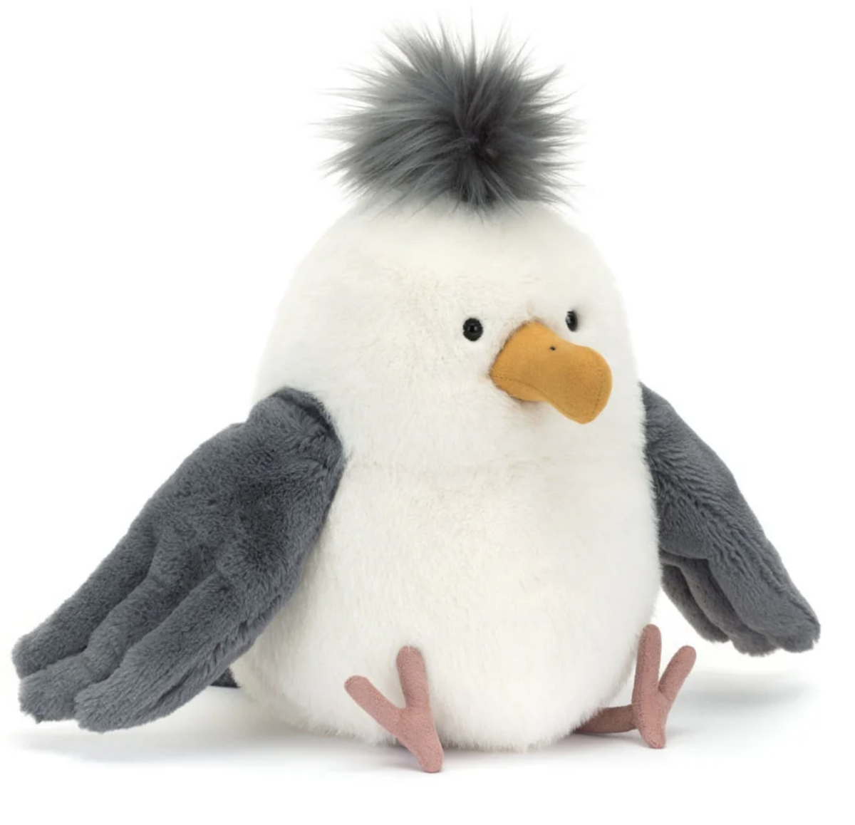 Chip Seagull
