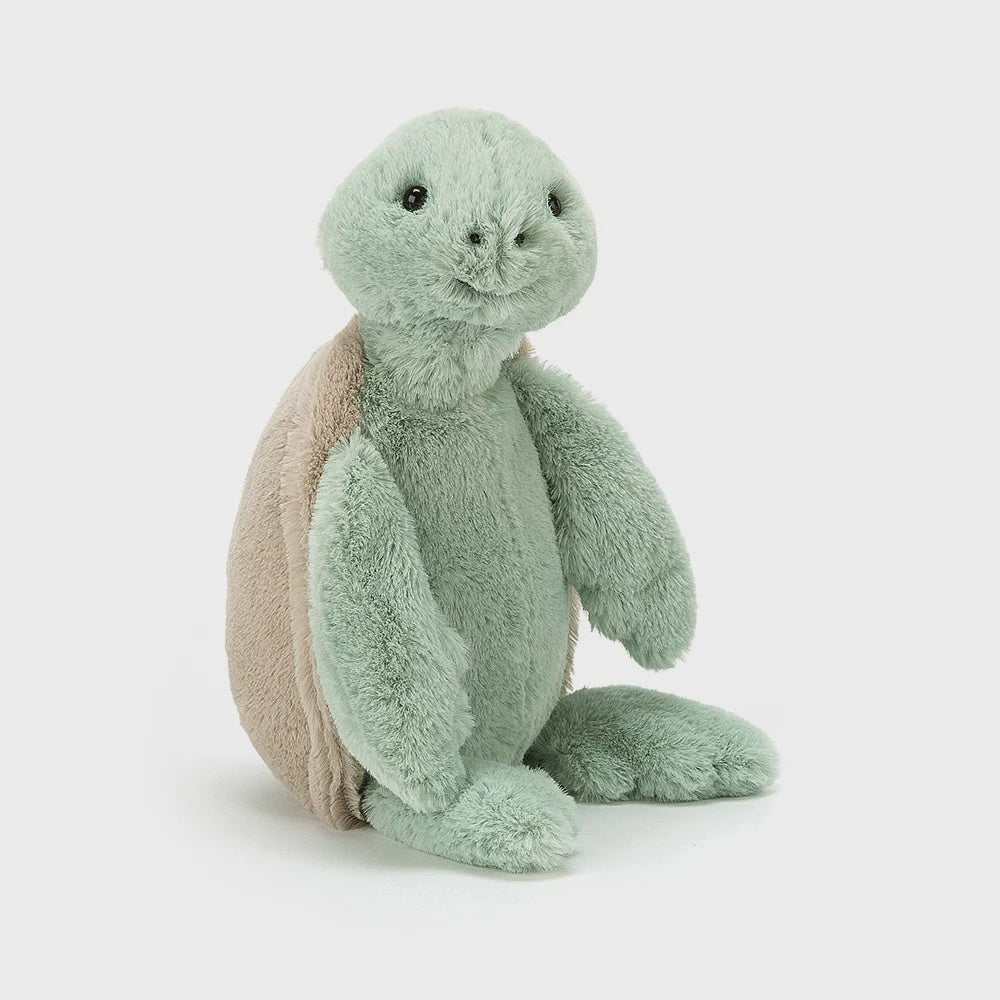 Bashful Turtle Original | Medium