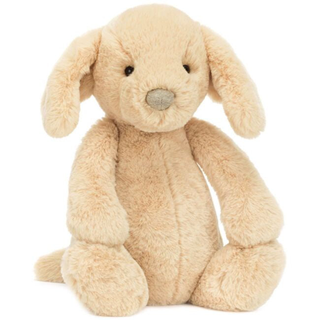 Bashful Luxe Puppy Orlando | Medium
