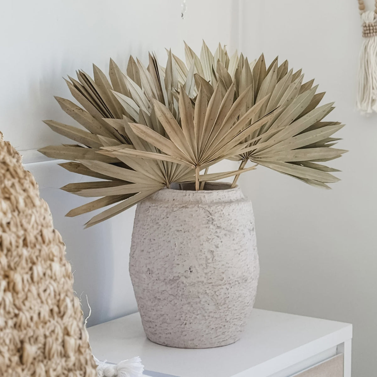 Sun Spear Dried Palm | Natural