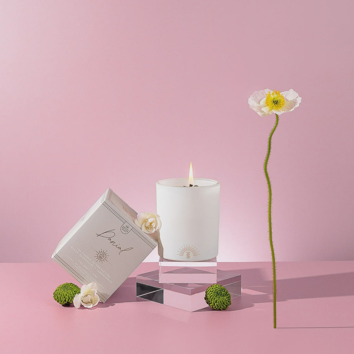 Danial Candle | Coconut & Lime